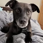 Brittney Gilbert - @bncounts - Instagram