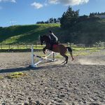 Brittney grace - @britt_eq_ - Instagram