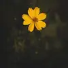 Brittney Graham282 - @brittneygraham282 - TikTok