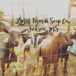Justin & Brittney Huff - @lmh.farm - Instagram