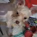 Brittany Ingram - Facebook