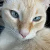 Brittneyjane - @brittneyjane_ - TikTok