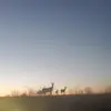 Brittney maxwell - @butterfly.kisses84 - TikTok