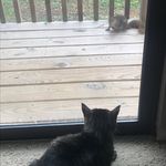 Brittney Meier - @brittney_meier99 - Instagram