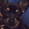 Britney Danielle Messer - @messer597 - TikTok