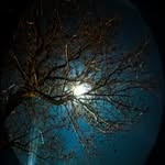 Brittany Mims - @moon_lightmelodies - Instagram
