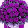 Brittney_Roberson11 - @brittney_roberson11 - TikTok