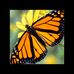 Brittney Scott - Facebook