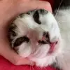 jacksonbritton74 - @jacksonbritton74 - TikTok