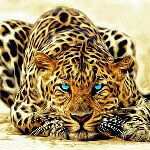 🏈Britton Walker🏈 - @britton_walker00 - Instagram