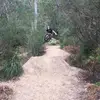 _Brockadams_ - @brockadams__ - TikTok