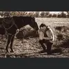 bigboyarmstrong - @brockarmstrong17 - TikTok
