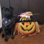 Brock Davidson - @brockdavidson1 - Instagram