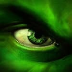 Doran Brock - @brockde06 - Instagram
