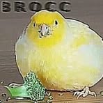 Brock Fraser - Facebook