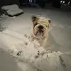 Brock.Geraigery - @brock.geraigery - TikTok