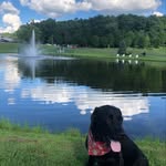 Brock George - @koda_pupp13 - Instagram
