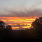 Brock Landers - @brock_landers_ - Instagram