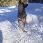 Brock Landers - @spaceman1772 - Instagram