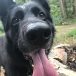 Brock Landers - @trailmudder - Instagram