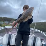 Brock Lewis - @brocklewis97 - Instagram