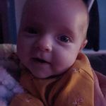 Brock Morrison - @brockmorrison5 - Instagram