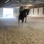 Brock Murphy - @brockmurphy697 - Instagram