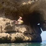 Brock Murphy - @brock_cmurphy - Instagram