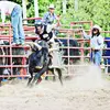 Brock Murphy - @brockmurphy6 - TikTok