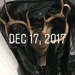 Brock Newcomer - @brocknewcomer - Instagram