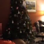Brock Newman - @brocknewman5555 - Instagram