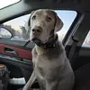 Brock Pearson - @brockpearson77 - TikTok
