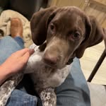 Brock Phillips - @brockep12 - Instagram