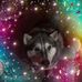 Brock Spencer - Facebook