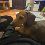 Brock Spencer - @brock_spencer228 - Instagram
