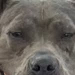 Brock Turner - @brockturner94 - Instagram