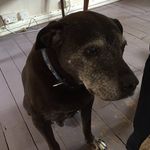 Brock Wakefield - @brock_wakefield - Instagram
