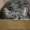 Brock Warren - @brock.warren192 - TikTok