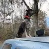 brockwarren04 - @brockwarren04 - TikTok
