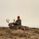 Brock Weaver - @jewishhorse1 - Instagram