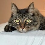 Brock Weaver - @bbweaver - Instagram