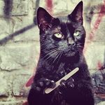 Brock Webb - @webbbrock - Instagram