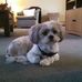 Stacy Weiss Brockson - Facebook