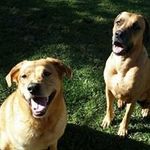 Ronna Brock Wiggins - @wigginsronna - Instagram