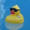 brockwilkinson832 - @brockwilkinson832 - TikTok