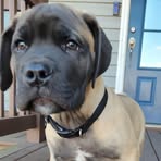 Broderick Carter - Facebook