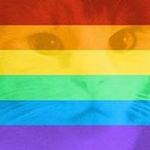 Kathy Broderick-Davis - @angels5579 - Instagram