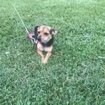 Broderick - @lasterbroderick05 - Instagram
