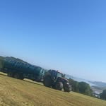 Thomas broderick🤙🤠 - @thomasbroderick94 - Instagram