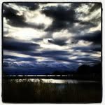Broderick Whiten - @broderickwhiten - Instagram